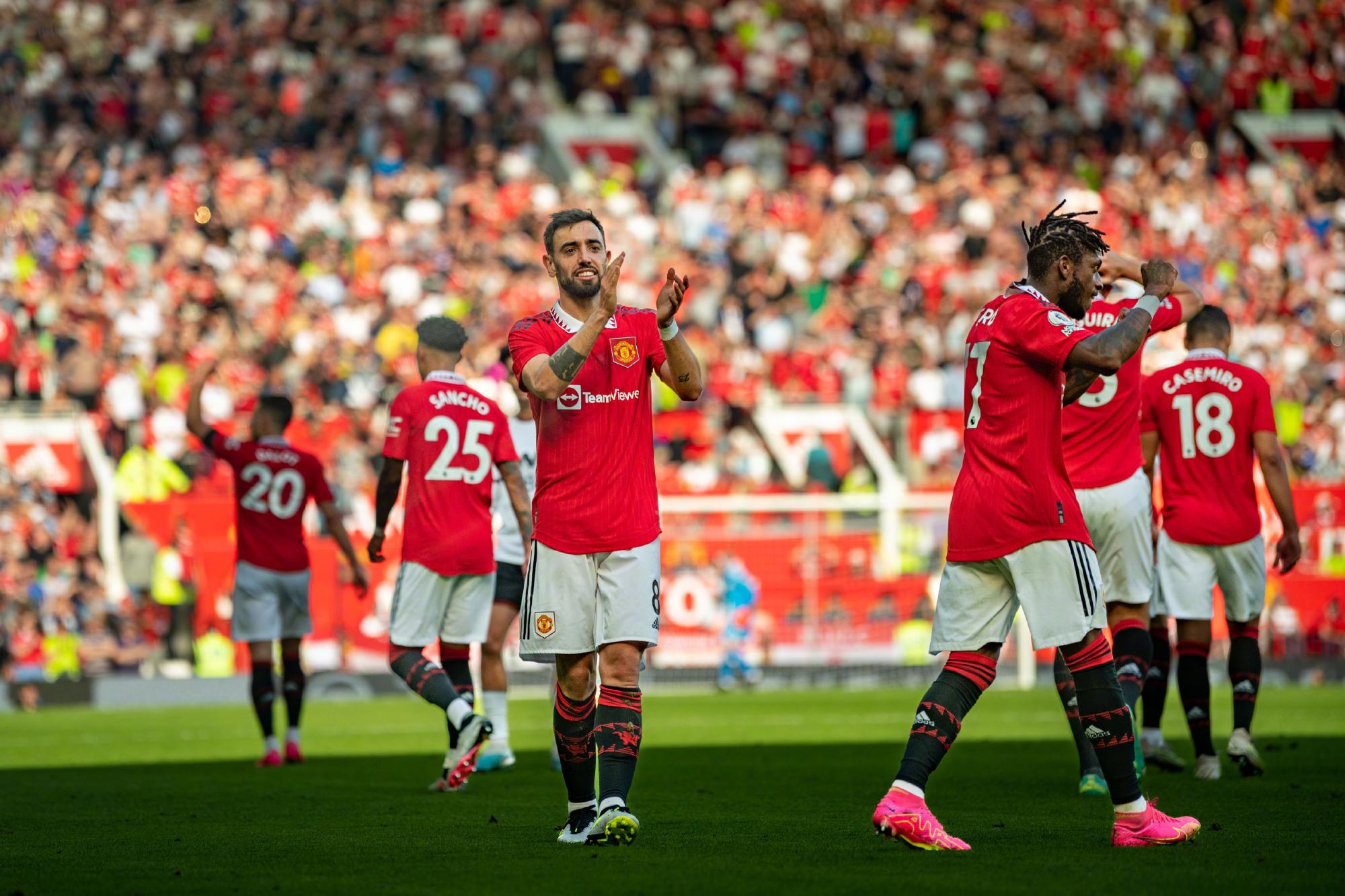 可以在观察 可以在观察